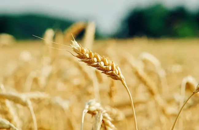 There are many variations of passages of Lorem Ipsum available, but majority have suffered teration in some form, by injected humour, or randomised words which don't look even slight believable. If you are going to use a passage of Lorem Ipsum.